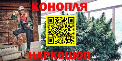 прущие грибы Ливны