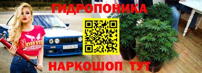 ГАЛЛЮЦИНОГЕННЫЕ ГРИБЫ Лесосибирск